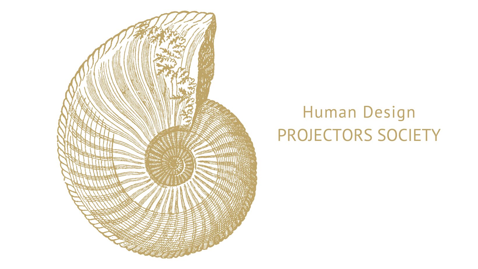 Human Design Projectors Society with a line drawing illustration of a nautilus shell